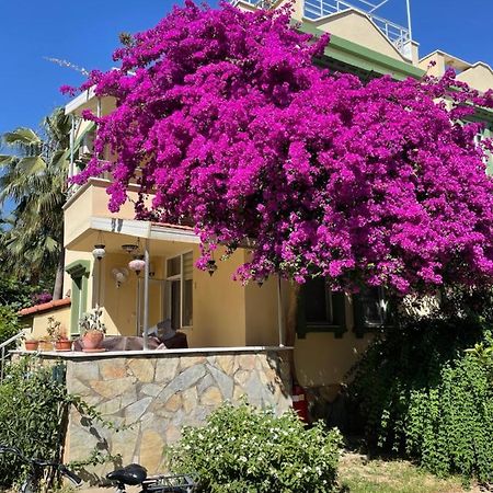 Villa Konak Club Alanya Ngoại thất bức ảnh