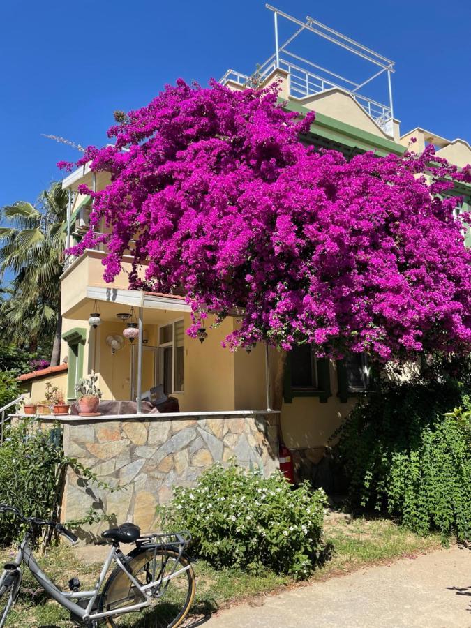 Villa Konak Club Alanya Ngoại thất bức ảnh